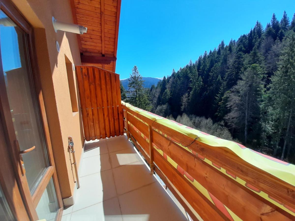 Kalinderu Skier'S Apartament Bellevue بوستين المظهر الخارجي الصورة