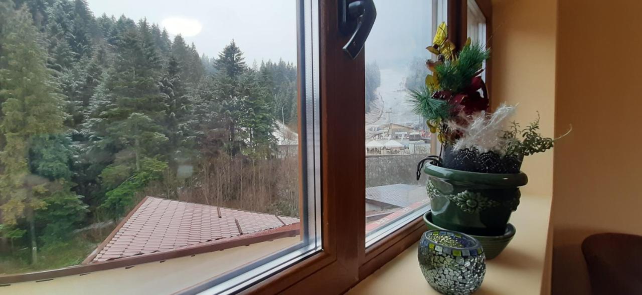 Kalinderu Skier'S Apartament Bellevue بوستين المظهر الخارجي الصورة