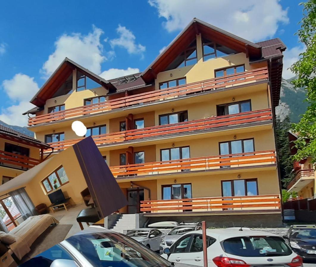 Kalinderu Skier'S Apartament Bellevue بوستين المظهر الخارجي الصورة