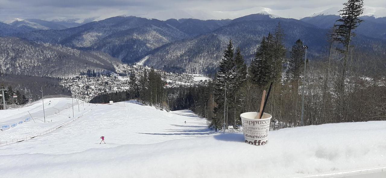 Kalinderu Skier'S Apartament Bellevue بوستين المظهر الخارجي الصورة