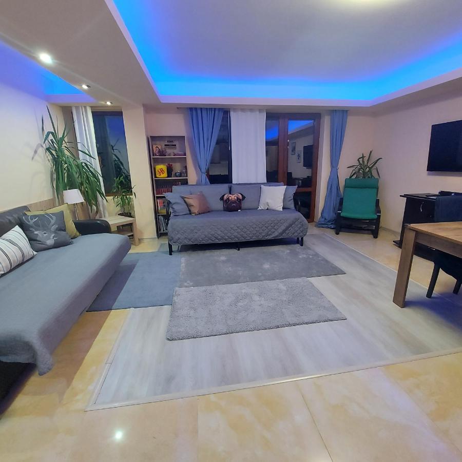 Kalinderu Skier'S Apartament Bellevue بوستين المظهر الخارجي الصورة