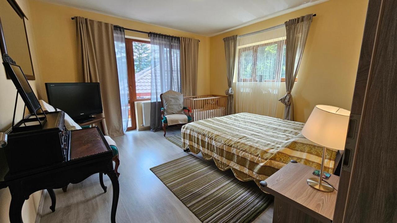 Kalinderu Skier'S Apartament Bellevue بوستين المظهر الخارجي الصورة